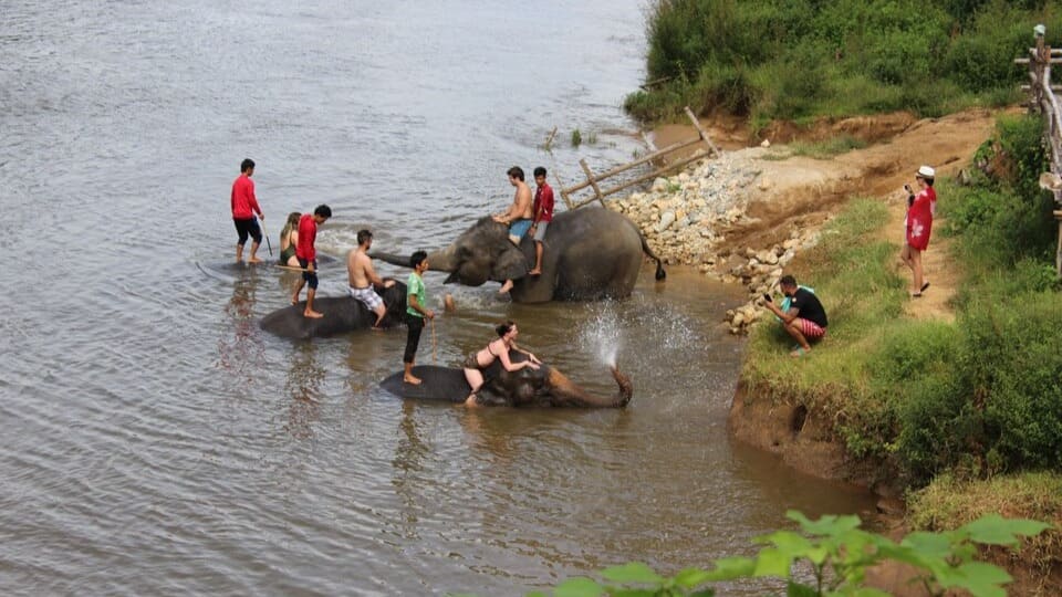 99 Pattaya Tours