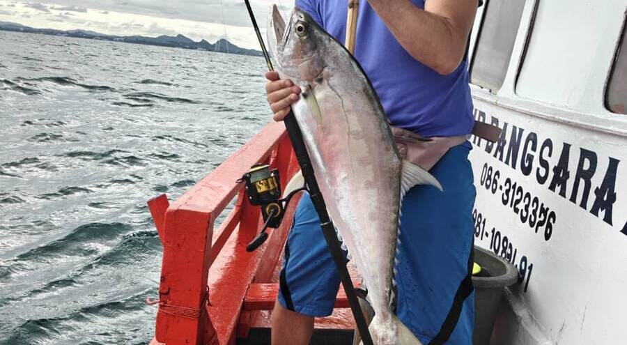 Real Sea Fishing